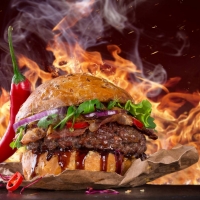 Hot Spicy Burger