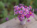 Cosmos bouquet