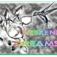 WEEKEND DREAMS