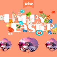 happy, easter,eggs,color,