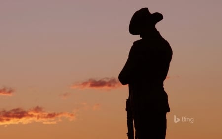 ANZAC Day Soldier