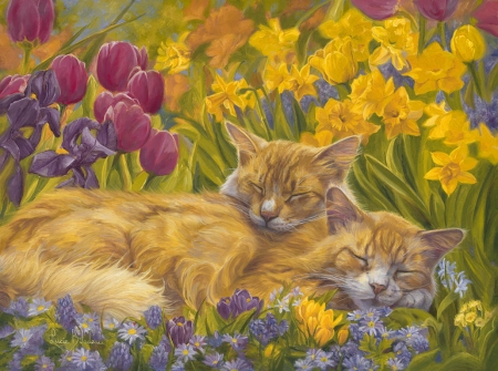 Nap time - yellow, lucie bilodeau, spring, pink, daffodil, garden, art, nap, flower, tulip, cat, primavara, pictura, sleep, painting, pisici, couple