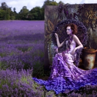 Wonderland