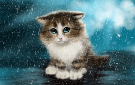 Cat - kitten, drawing, cute, cat, feline
