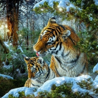 Tigers