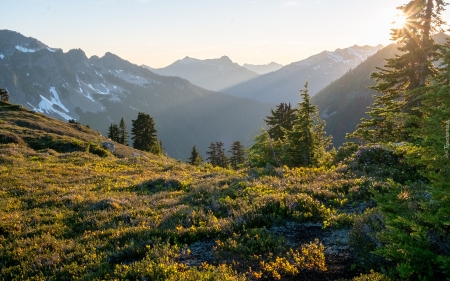 Mountains - landscape, sunbeams, trees, meadow, nature, mountains