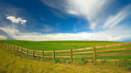 yankovnet - windows wallpaper, os, summer, suntime