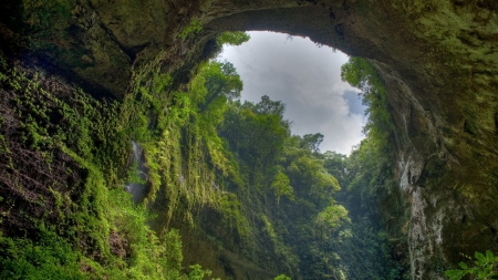 cave - trees, new zealand, hole, waitono