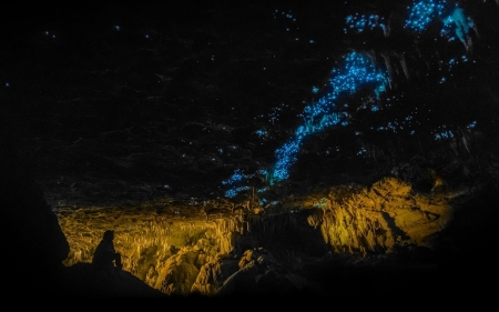 cave clowworms - cave, blue light, clowworms, photo, man