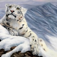 Snow leopard