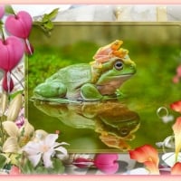 FRAMED FROGS