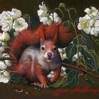 Squirrel with Jasmine