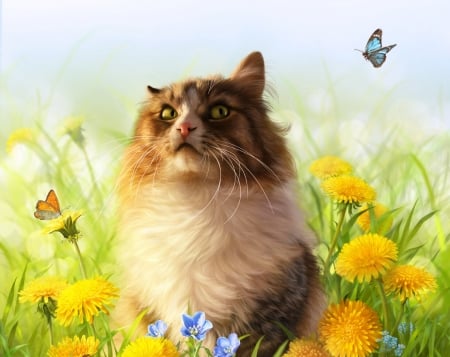 Dandelions - yellow, summer, dandelion, flower, cat, superb, frumusete, elena roslyakova, gorgeous, green, butterfly, pisici, alenaekaterinburg, vara