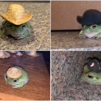 FROG COLLAGE