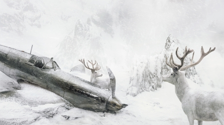 We meet in the sky - animal, winter, white, black, horns, car, accident, bw, martin stranka, creative, fantasy, snow, deer, iarna, cerb