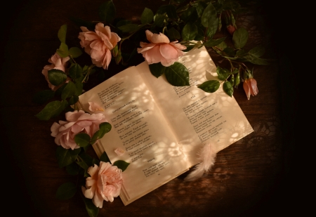 ♥ - soft, still life, flowers, abstract