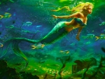 Mermaid Fantasy