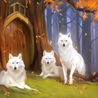 White wolves