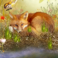 Resting Fox