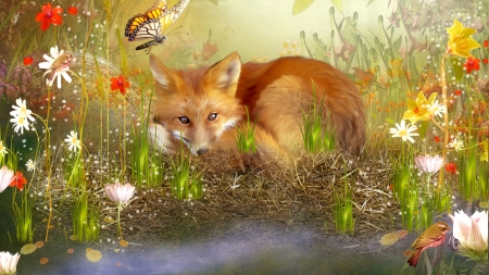 Resting Fox - flowers, blossoms, summer, fox, butterfly, spring, meadow, field