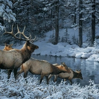 Deers in winter by Persis Clayton Weirs