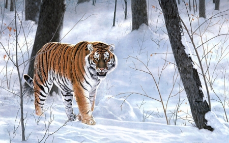 Emperor of Siberia - winter, white, art, tiger, siberia, charles frace, painting, snow, iarna, tigru