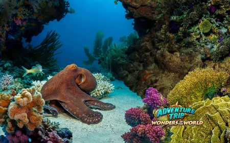 AdventureTrip - Wonders of the World18 - cool, fun, hidden object, puzzle, video games