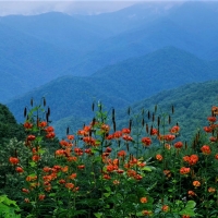 Smoky mountains