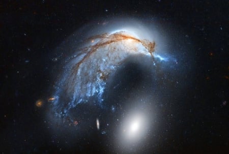 The Porpoise Galaxy