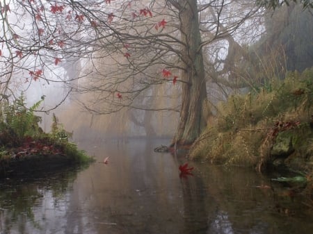 art painting - tress, fog, shrubs, lake, leaves