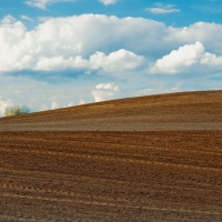 Spring on the farm Wallpapers - Page 27 - Desktop Nexus