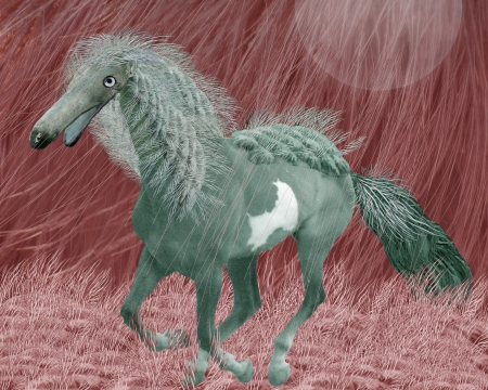 Horse of a different dolor - fantasy, grey, funny, vikki truver, cal, art, pink, horse