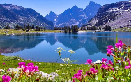 Jenny Lake, Grand Tetons, Wyoming - reflections, flowers, water, mountains, sky