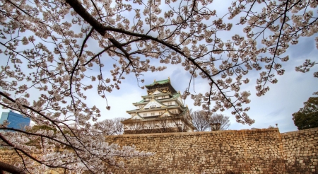 Osaka Castle