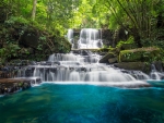 Waterfall in green forest