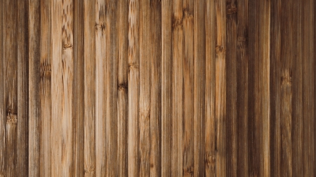 Old Bamboo - nature, bamboo, wood, wall