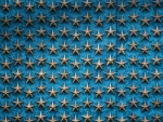 Wall of Freedom