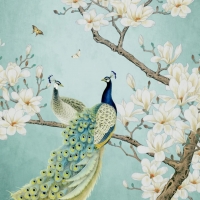 Peacocks and magnolia