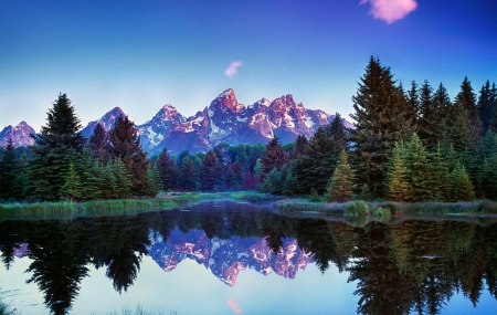 Grand Tetons, Wyoming - trees, sky, snake river, reflections