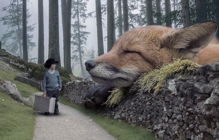 The journey - vulpe, foc, kelvin koosh, copil, boy, fantasy, forest, giant, child