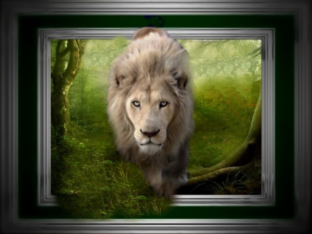 Lion - animal, green, leu, lion