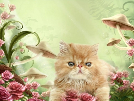 Kitten - cat, fantasy, kitten, mushroom, pink, pisici