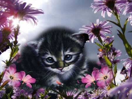 Kitten - black, kitten, pisici, flower, pink, cat