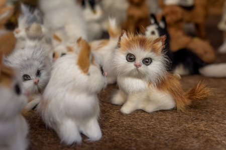 toy kittens