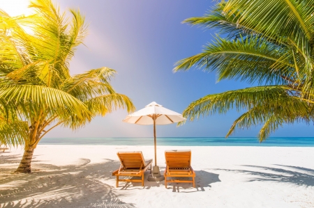 Beach - Loungers, Palm trees, Sky, Beach, Sea