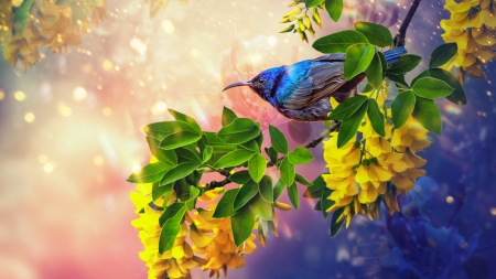 Bird wallpaper - bird, colorful, branch, beautiful, spring, art