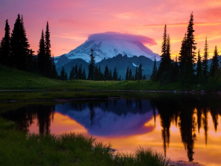 Upper Tipsoo Lake with Mt. Rainier - trees, sunset, washington, reflection, sky