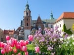 Spring in Krakow, Poland