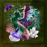 PEACOCK FAIRY