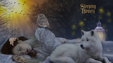 SLEEPING BEAUTY - SLEEPING, OWL, DRESS, WOLF, BUTTERFLIES, FEMALE